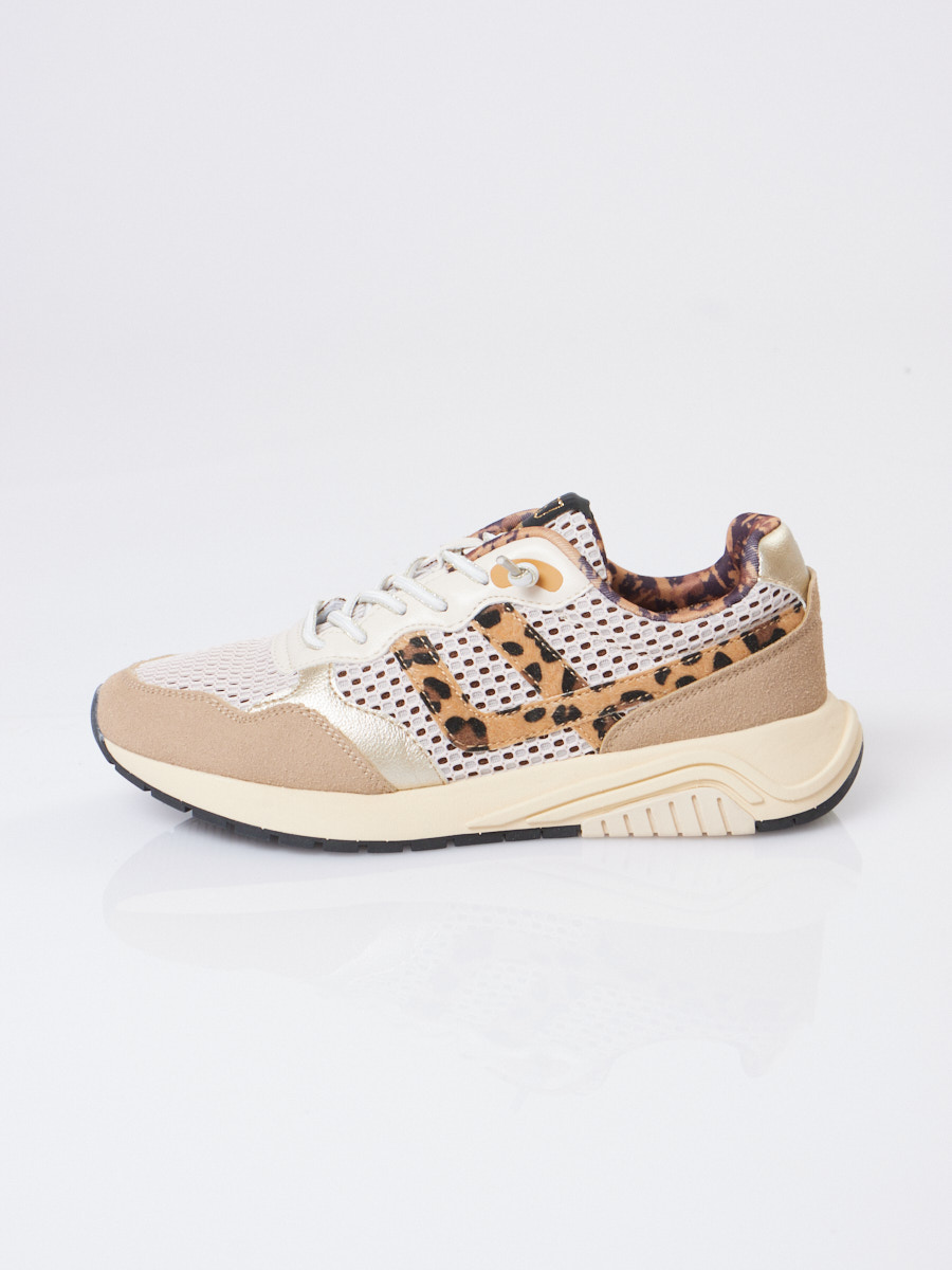 SJ Brand-643633